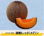 melon-thugarured.JPG