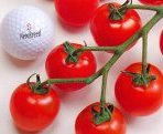 tomato-suzu-100.jpg