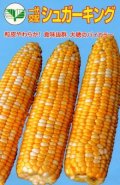 tomorokosi-king-100.jpg