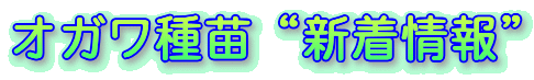 �I�K����c�g�V�����h
