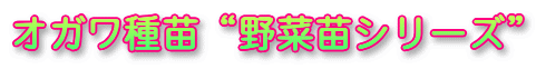 �I�K����c�g��ؕc�V���[�Y�h
