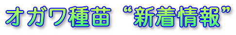 �I�K����c�g�V�����h
