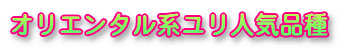 �I���G���^���n�����l�C�i��
