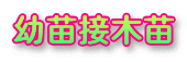 �c�c�ږؕc