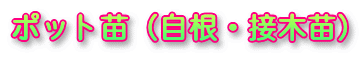 �|�b�g�c�i�����E�ږؕc�j